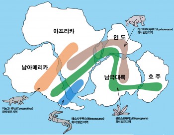 대륙이동설의 근거로 제시되는 화석 분포 위치 - 위키미디어 제공